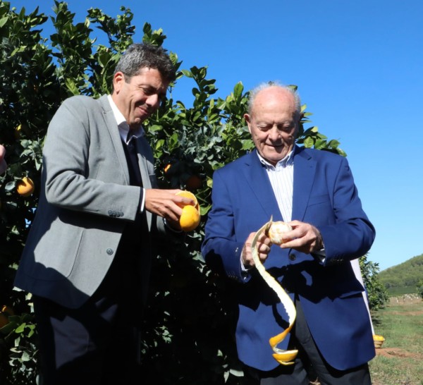 Cítricos Valencianos