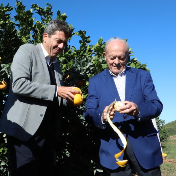 Cítricos Valencianos