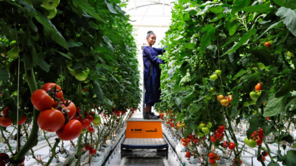 Suiza horticultura mujeres