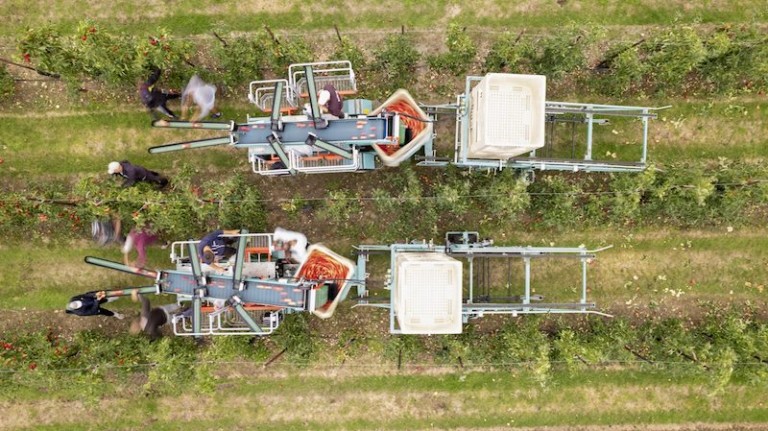 productores manzanas