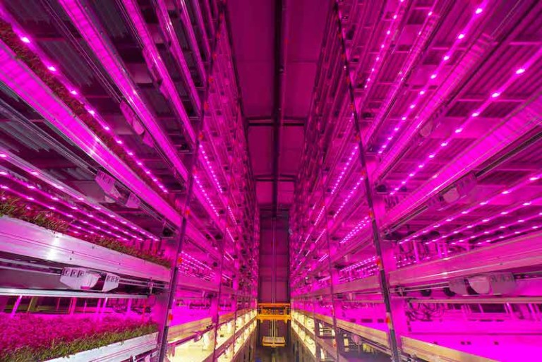 Vertical Farming