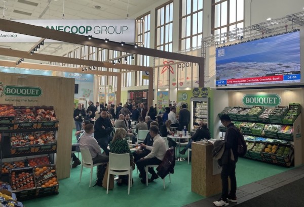 untable vegetal Anecoop