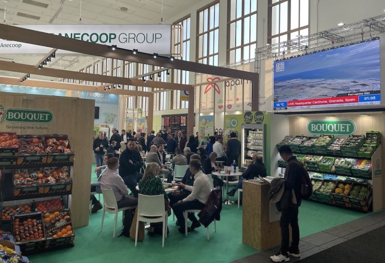 untable vegetal Anecoop