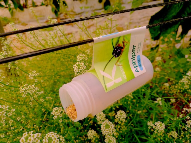 Koppert protección cultivos