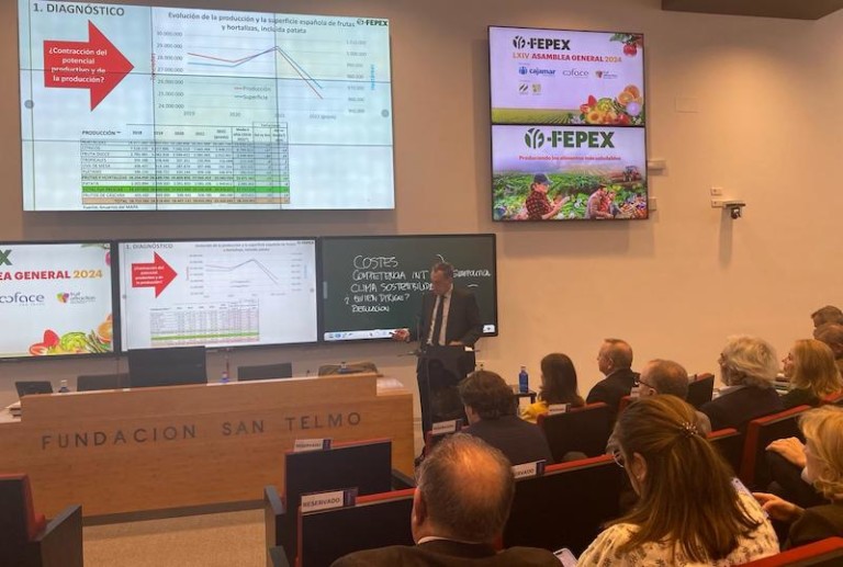 Importaciones hortofrutícolas