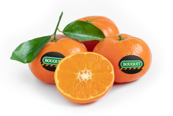 Anecoop mandarinas 10KFEM