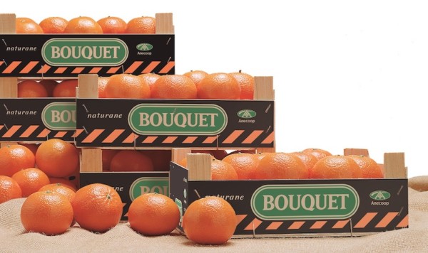 Anecoop mandarinas 10KFEM