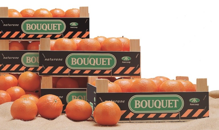 Anecoop mandarinas 10KFEM