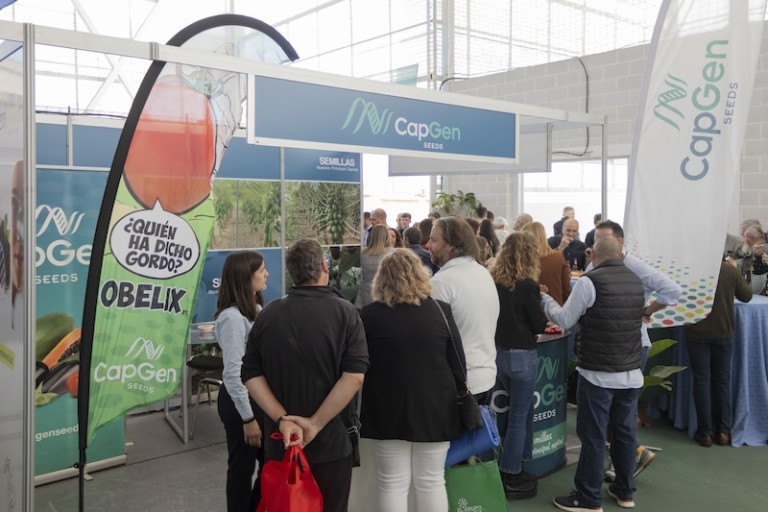 Gavilán Astérix ExpoCherry