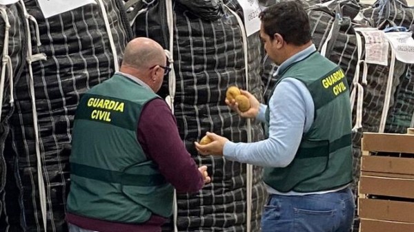 patata Egipto Cádiz