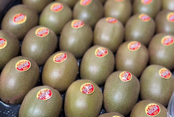 Primland kiwi Oscar