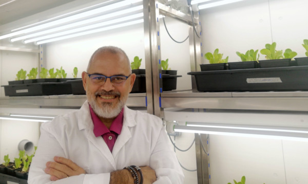 Probelte bioestimulantes biofertilizantes