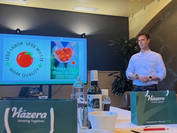 Hazera tomates mano de obra