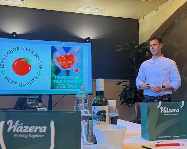 Hazera tomates mano de obra