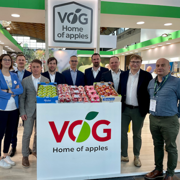 VOG manzana