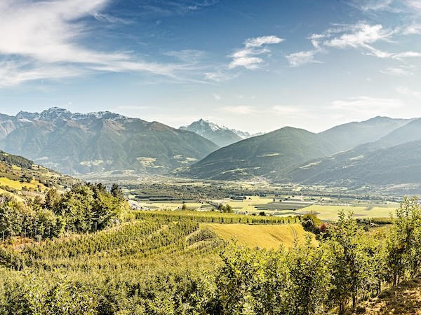 manzanas Val Venosta