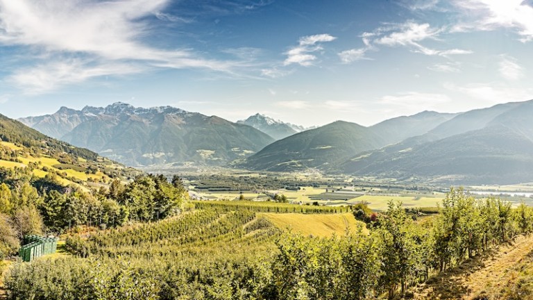 manzanas Val Venosta