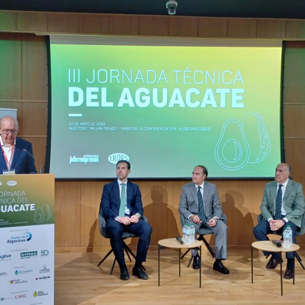 jornada aguacate