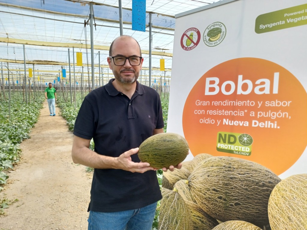 Syngenta piel de sapo Nueva Delhi