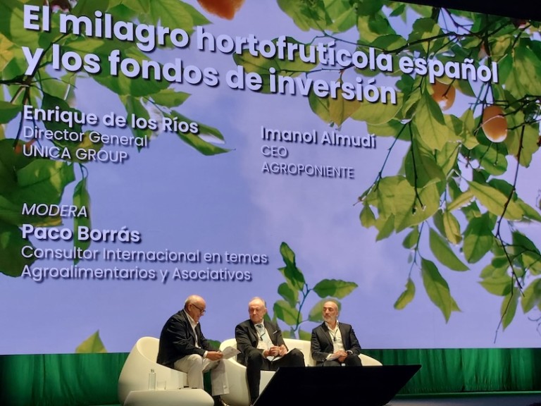 tamaño fondos de inversión