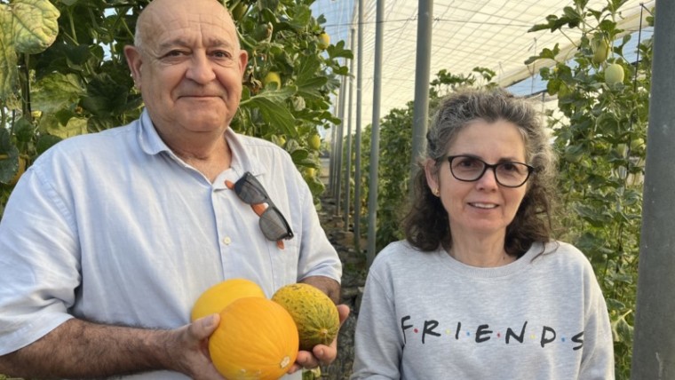 melones snack SuperFruiter