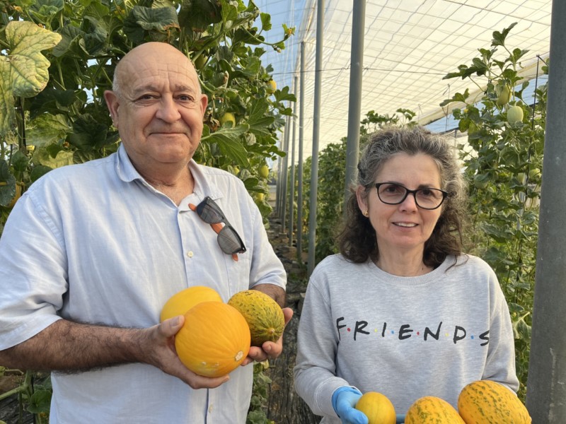 melones snack SuperFruiter