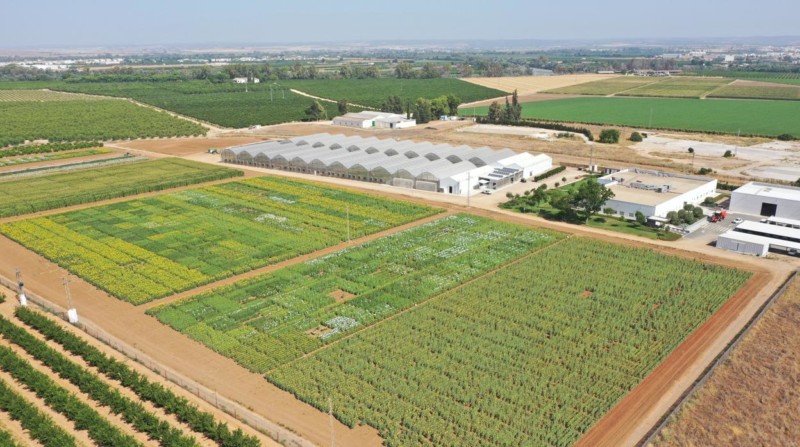 Corteva I+D agrícola