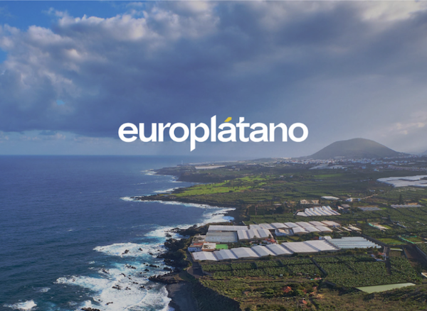 Europlátano imagen