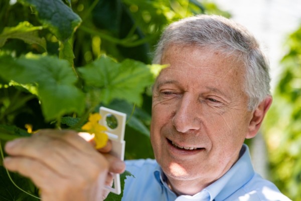 Koppert agricultores