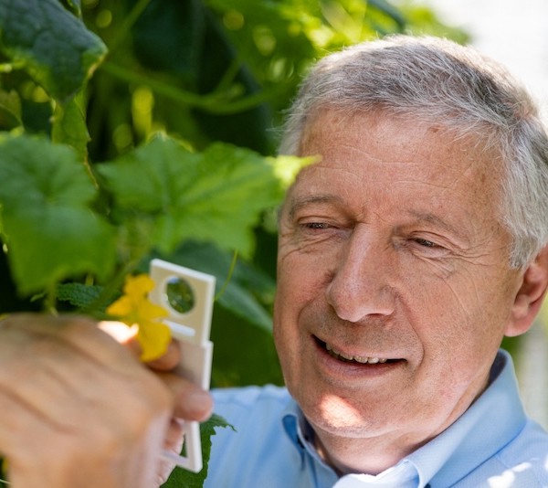 Koppert agricultores
