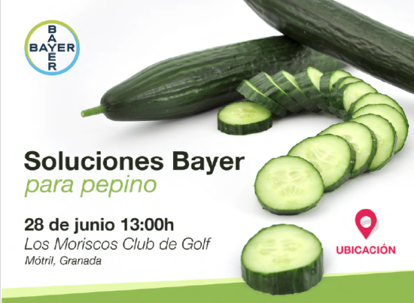 pepino Bayer