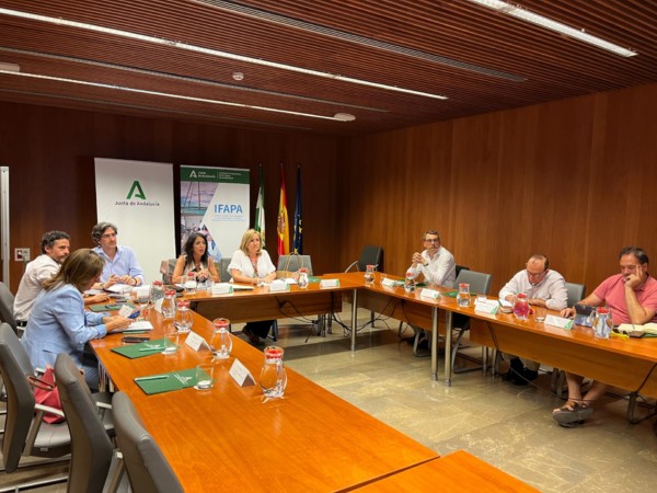 Ifapa Plan de Optimización