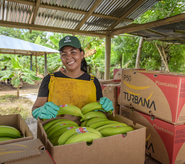 Uniban banana