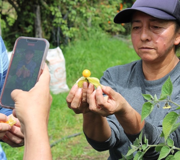 Agraya, 25 años promoviendo las buenas prácticas agrícolas