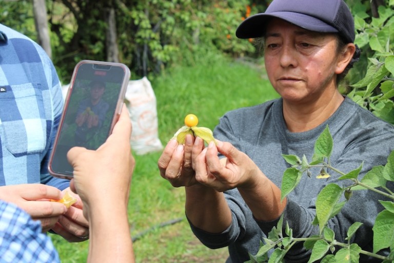 Agraya, 25 años promoviendo las buenas prácticas agrícolas