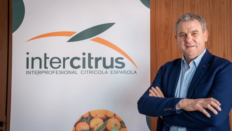 presidente Intercitrus