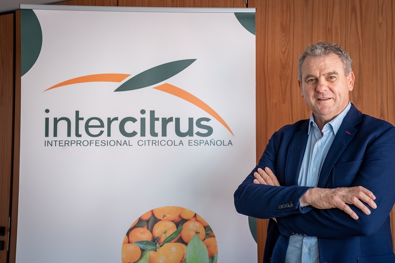 presidente Intercitrus