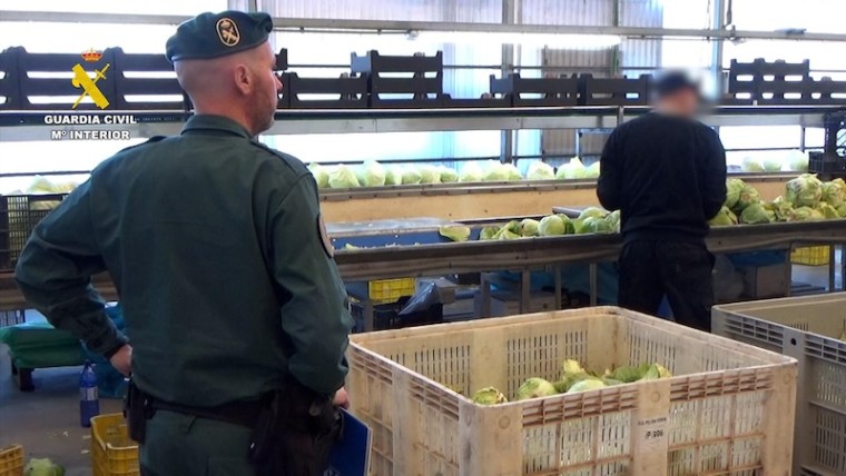 frutas hortalizas ecológicas