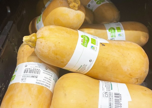 ALDI calabazas