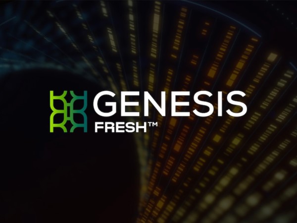 Genesis Fresh