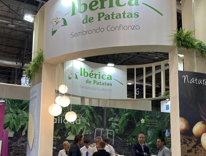 Ibérica de Patatas industria