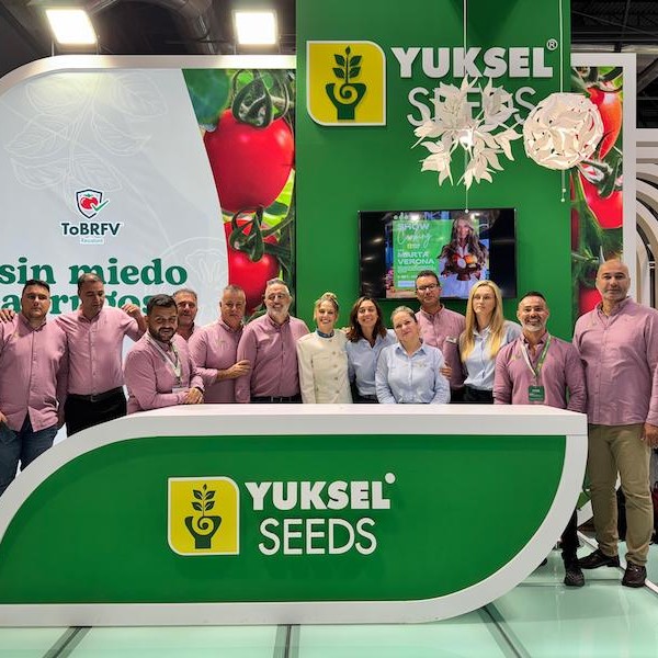 Yuksel rugoso