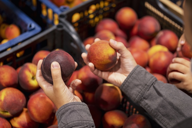 consumo fruta de hueso