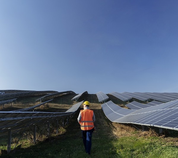 plantas solares suelo agrícola