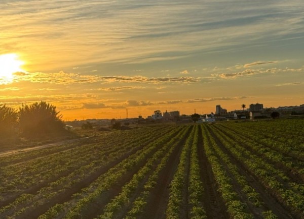 guía sostenibilidad