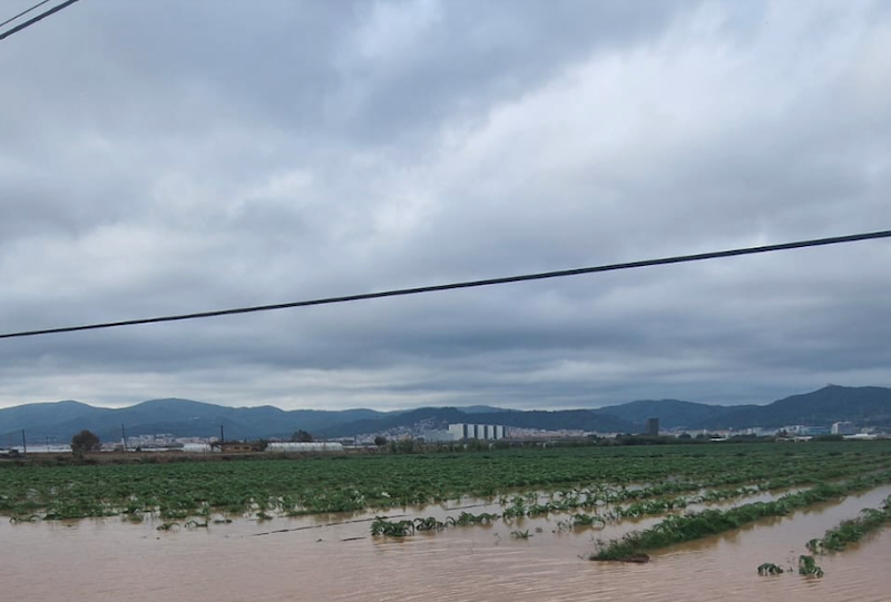 dana Baix Llobregat