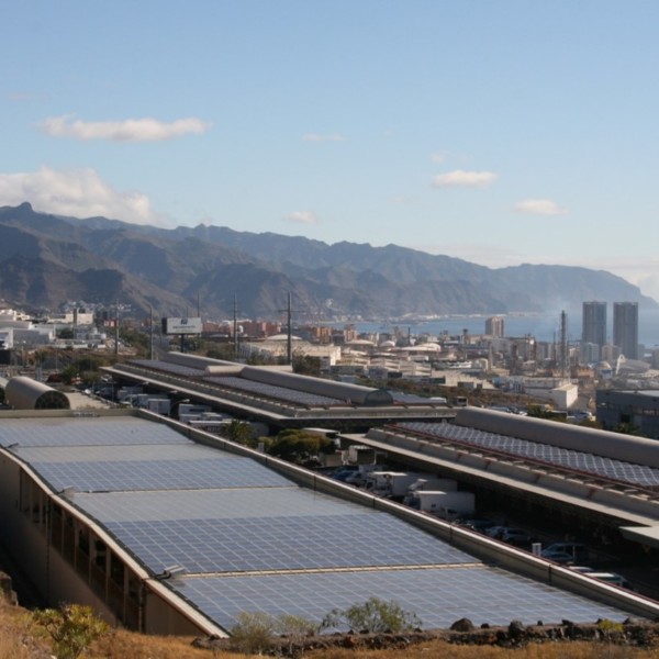 Mercatenerife frutas hortalizas