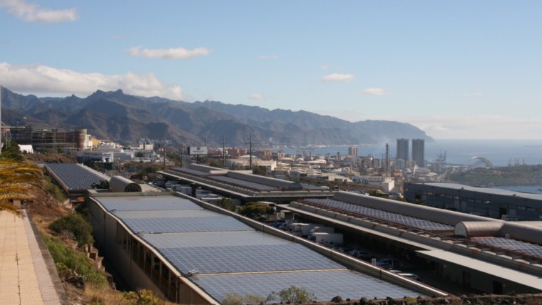 Mercatenerife frutas hortalizas