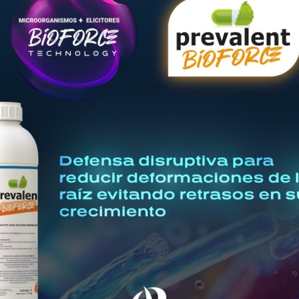 Lida Plant Biovacuna