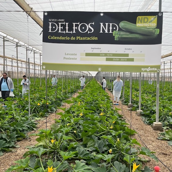 Syngenta Nueva Delhi